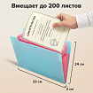 Папка-органайзер на кнопке 12 отделений, BRAUBERG "Extra", А4, голубая с розовым, 271932