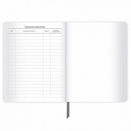 Дневник 1-11 класс 48 л., кожзам (твердая с поролоном), тиснение, аппликация, BRAUBERG, "Extreme", 106569