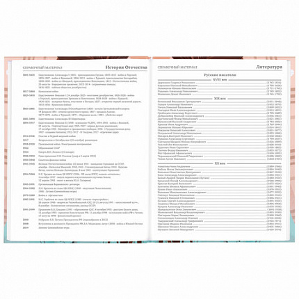 Дневник 5-11 класс 48 л., твердый, BRAUBERG, глянцевая ламинация, с подсказом, "Summer girl", 106882