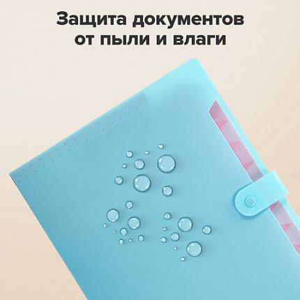 Папка-органайзер на кнопке 12 отделений, BRAUBERG "Extra", А4, голубая с розовым, 271932
