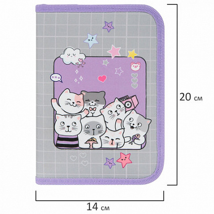 Пенал ПИФАГОР, 1 отделение, 2 откидные планки, полиэстер, 20х14 см, "Cats selfie", 273477