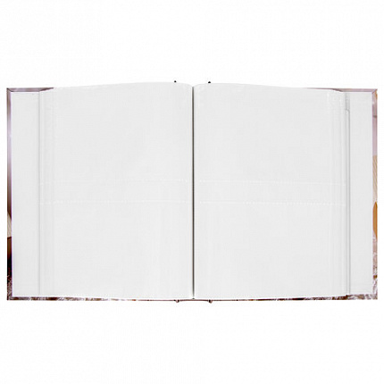 Фотоальбом BRAUBERG "Свадебный подарок" на 200 фото 10х15 см, твердая обложка, переплет, бокс, 391153