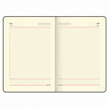 Ежедневник недатированный БОЛЬШОЙ ФОРМАТ 210х297мм А4, BRAUBERG Iguana, 160л, синий, 114451