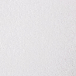 Альбом для рисования, А4, 40 листов, гребень, выборочный лак, подложка, 120 г/м2, BRAUBERG, 205х290 мм, "Картина" (2 вида), 102834