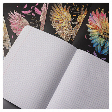 Тетрадь А5 48 л., HATBER, скоба, клетка, матовая ламинация, 3D-фольга, Крылья ангела (микс), 091164, 48Т5лофВ1