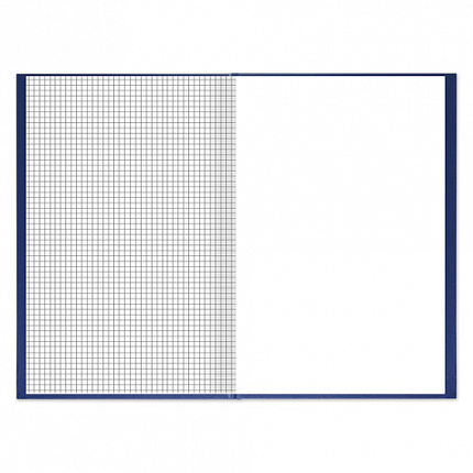 Книга учета 144 л., клетка, твердая, бумвинил, блок офсет, А4 (200х290 мм), BRAUBERG, синий, 130226