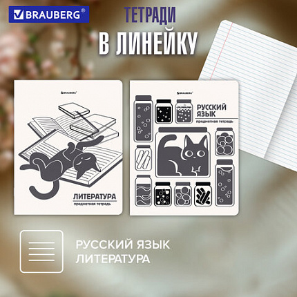Тетради предметные, КОМПЛЕКТ 12 ПРЕДМЕТОВ 48 л., пластиковая обложка, BRAUBERG "КОТ-НЕПОСЕДА", 405542