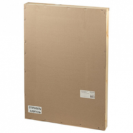 Доска-стенд "Информация" 52х78 см, 3 плоских кармана А4 + объемный карман А5, BRAUBERG, 291011