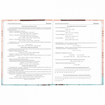 Дневник 5-11 класс 48 л., твердый, BRAUBERG, глянцевая ламинация, с подсказом, "Summer girl", 106882