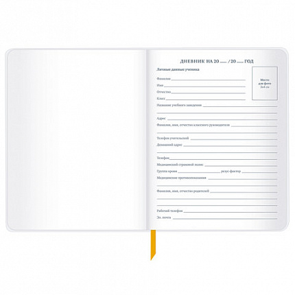 Дневник 1-11 класс 48 л., кожзам (гибкая), печать, фольга, BRAUBERG, "Mountains", 106223