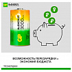 Батарейки аккумуляторные GP ReEnergy Ni-Mh КОМПЛЕКТ 2 шт., D (HR20), 3000 mAh, 300DHCRGY-2CRCB2