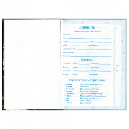 Дневник для музыкальной школы 140х210 мм, 48 л., твердый, BRAUBERG, справочный материал, "Концерт", 103279