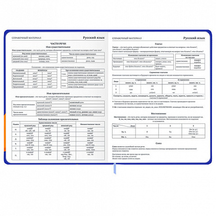Дневник 1-11 класс 48 л., твердый, BRAUBERG, матовая ламинация, резинка, закладка-ляссе, с подсказом, "Гусь", 107237