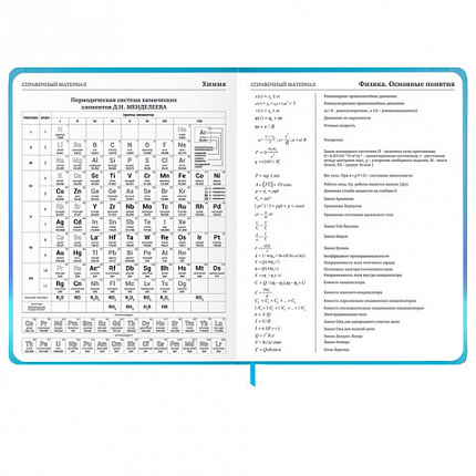 Дневник 1-11 класс 48 л., твердый, BRAUBERG, матовая ламинация, резинка, закладка-ляссе, с подсказом, "Котик", 107239