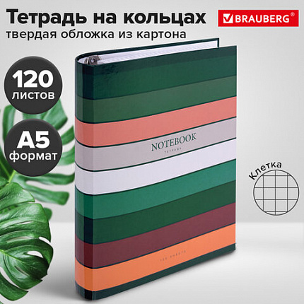 Тетрадь на кольцах А5 175х215 мм, 120 листов, твердый картон, клетка, BRAUBERG, "Classic", 404718