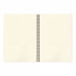 Скетчбук, слоновая кость 150 г/м2, 210х297 мм, 30 л., гребень, BRAUBERG ART CLASSIC, 128947