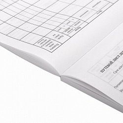 Бланк бухгалтерский, офсет, "Путевой лист легкового автомобиля", А5 (135х195 мм), СПАЙКА 100 шт., STAFF, 130133