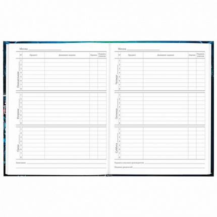 Дневник 5-11 класс 48 л., твердый, BRAUBERG, глянцевая ламинация, с подсказом, "Cyberpunk", 106881