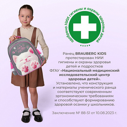 Ранец BRAUBERG KIDS STANDARD, 2 отделения, "Кот-мурлыка", 36х28х14 см, 274427