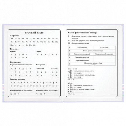 Дневник 1-4 класс 48 л., твердый, ЮНЛАНДИЯ, глянцевая ламинация, с подсказом, "Совушка", 106594