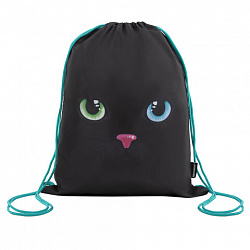 Папка на молнии с ручками А4, мешок для обуви 42х33 см, пенал 20х10 см, "Black cat" НАБОР BRAUBERG, 271434