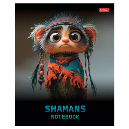 Тетрадь А5 48 л., HATBER скоба, клетка, глянцевая ламинация, "Шаманы" (микс в спайке), 088374, 48Т5лВ1