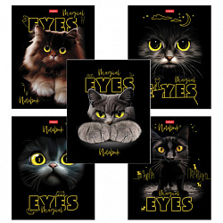 Тетрадь А5 48 л., HATBER скоба, клетка, матовая ламинация, 3D-лак, "Волшебные глаза" (микс), 088313, 48Т5лолВ1