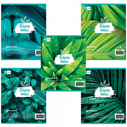 Тетрадь А5, 48 л., BRAUBERG скоба, клетка, обложка картон, GREEN NATURE, 403033