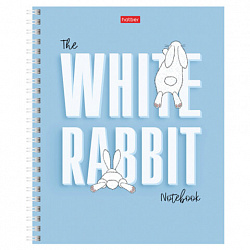 Тетрадь А5, 48 л., HATBER гребень, клетка, обложка картон, "Следуй за белым кроликом" (микс), 087016, 48Т5В1гр