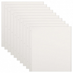 Листы для фотоальбома магнитные 30х32 см, КОМПЛЕКТ 10 шт., BRAUBERG, 391313