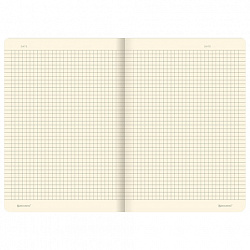 Тетрадь 40 л. в клетку обложка SoftTouch, бежевая бумага 70 г/м2, сшивка, А5 (147х210 мм), BEAUTIFUL DAY, BRAUBERG, 403772