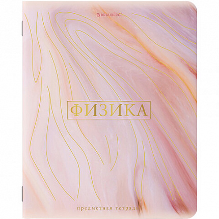 Тетради предметные со справочным материалом, КОМПЛЕКТ 10 ПРЕДМЕТОВ, 48 л., SoftTouch, фольга, BRAUBERG, "PASTEL", 404031