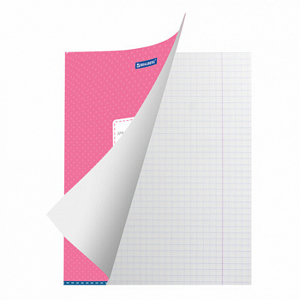 Тетрадь 12 л. BRAUBERG, клетка, обложка картон, ТОЧКИ, 103023