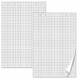 Блокноты для флипчарта ПЛОТНЫЕ 80 г/м2, BRAUBERG, 67,5х98 см, КОМПЛЕКТ 5 шт., 20 л., клетка, 124097