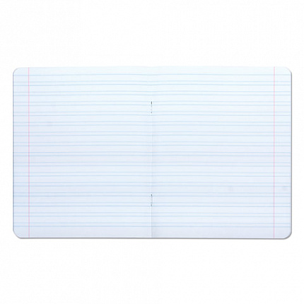 Тетрадь 12 л. BRAUBERG ЭКО "5-КА", узкая линия, обложка картон 170 г/м2, ЗЕЛЕНАЯ, 104765