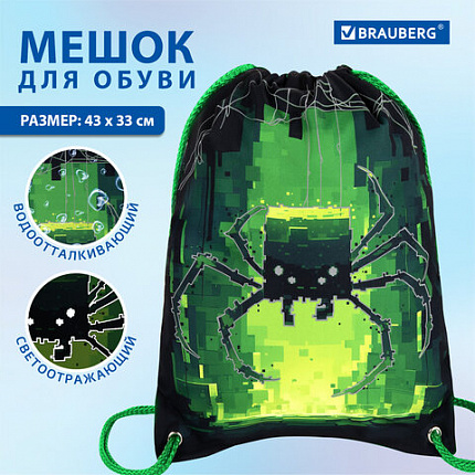 Мешок для обуви BRAUBERG PREMIUM, карман, подкладка, светоотражайка, 43х33 см, "Digital spider", 273444