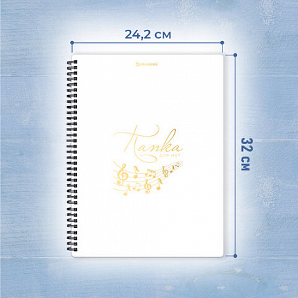 Папка тетрадь для нот А4, 20 вкладышей на 40 страниц, на гребне, пластик, БЕЛАЯ, BRAUBERG, 404644