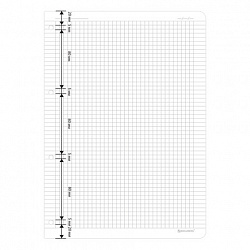 Сменный блок для тетради на кольцах БОЛЬШОЙ ФОРМАТ А4 120 л., BRAUBERG, ПОВЫШЕННОЙ ПЛОТНОСТИ, белый, 404516