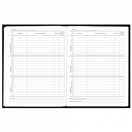 Дневник 5-11 класс 48 л., твердый, BRAUBERG, матовая ламинация, с подсказом, "Гитара", 107185