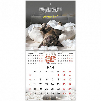 Календарь настенный перекидной 2026 г., BRAUBERG, 12 листов, 21,4х21,4 см, МИНИ, "Не падай духом", 116942