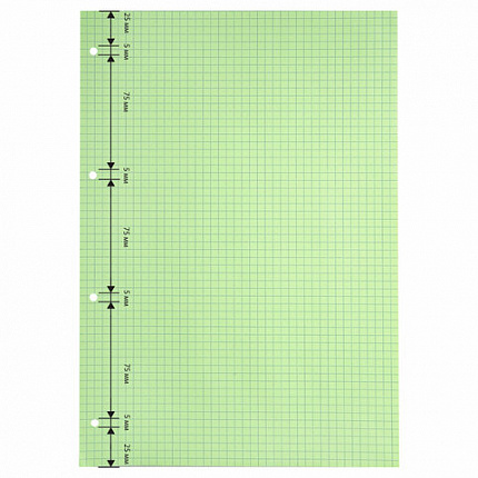 Сменный блок к тетради на кольцах БОЛЬШОЙ ФОРМАТ А4, 120 л., BRAUBERG, (4 цвета по 30 листов), 404519