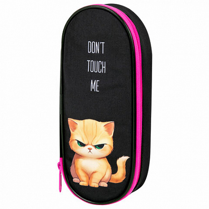 Пенал-футляр BRAUBERG, 1 отделение, органайзер, полиэстер, 22x9х5 см, "Angry kitty", 273566