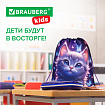 Мешок для обуви BRAUBERG KIDS, с петлей, 42х34 см, "Curious cat", 273434