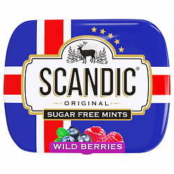 Драже освежающие SCANDIC без сахара со вкусом "Лесные ягоды", 14 г, 4603738769230
