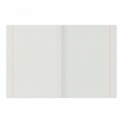 Тетрадь А5, 40 л., STAFF скоба, клетка, офсет №2 ЭКОНОМ, обложка картон, "ЭКСКЛЮЗИВ", 402645