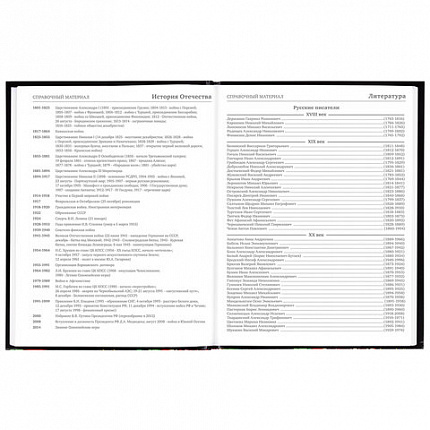 Дневник 5-11 класс 48 л., гибкая обложка, BRAUBERG, глянцевая ламинация, с подсказом, "Гепард", 106862