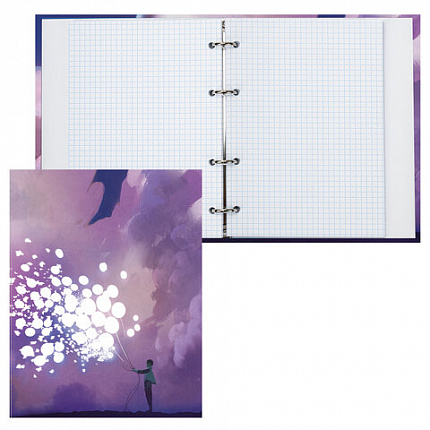 Тетрадь на кольцах А5 (165х215 мм), 160 листов, твердый картон, клетка, BRAUBERG, Мечты, 404092