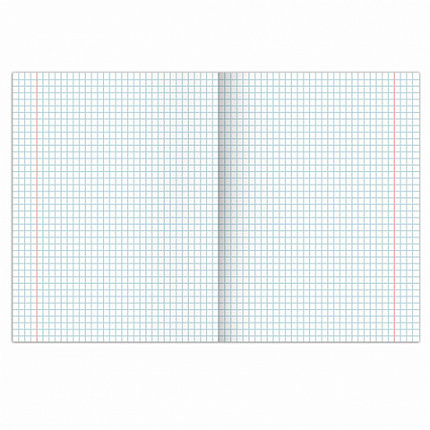 Тетрадь предметная SPORT CLUB 48л, обложка картон, ИНФОРМАТИКА, клетка, подсказ, BRAUBERG, 404800