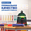 Мешок для обуви BRAUBERG, с петлей, светоотражающая полоса, 2 отделения, 46х36 см, Night warrior, 272396