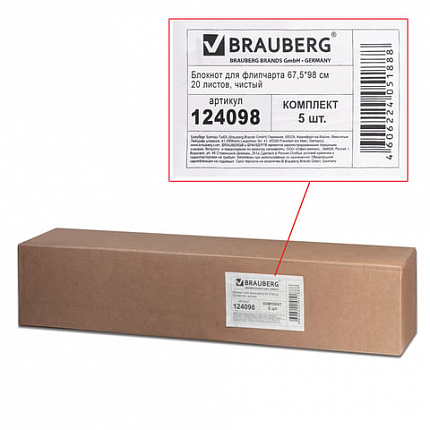Блокноты для флипчарта BRAUBERG, комплект 5 штук, 20 листов, чистые, 67,5х98 см, 80 г/м2, 124098